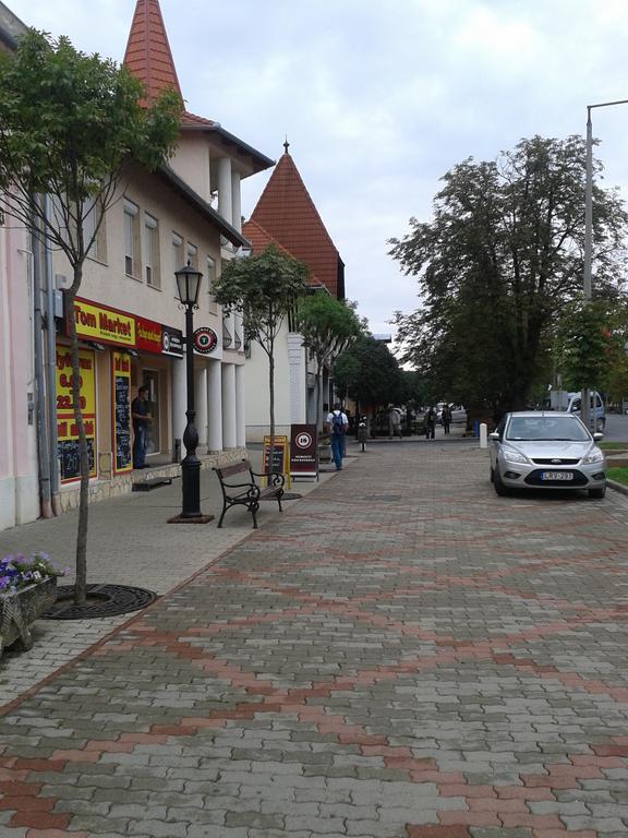 Kotany Apartman Harkany Bilik gambar